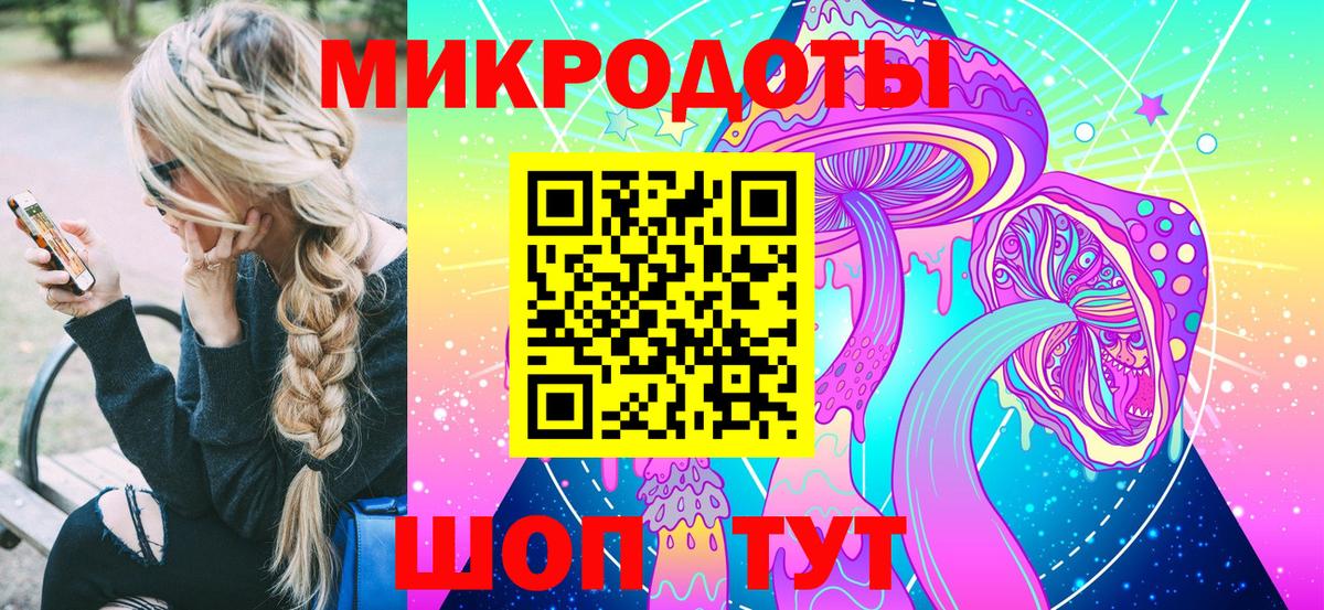 Галлюциногенные грибы Psilocybe Верхняя Салда